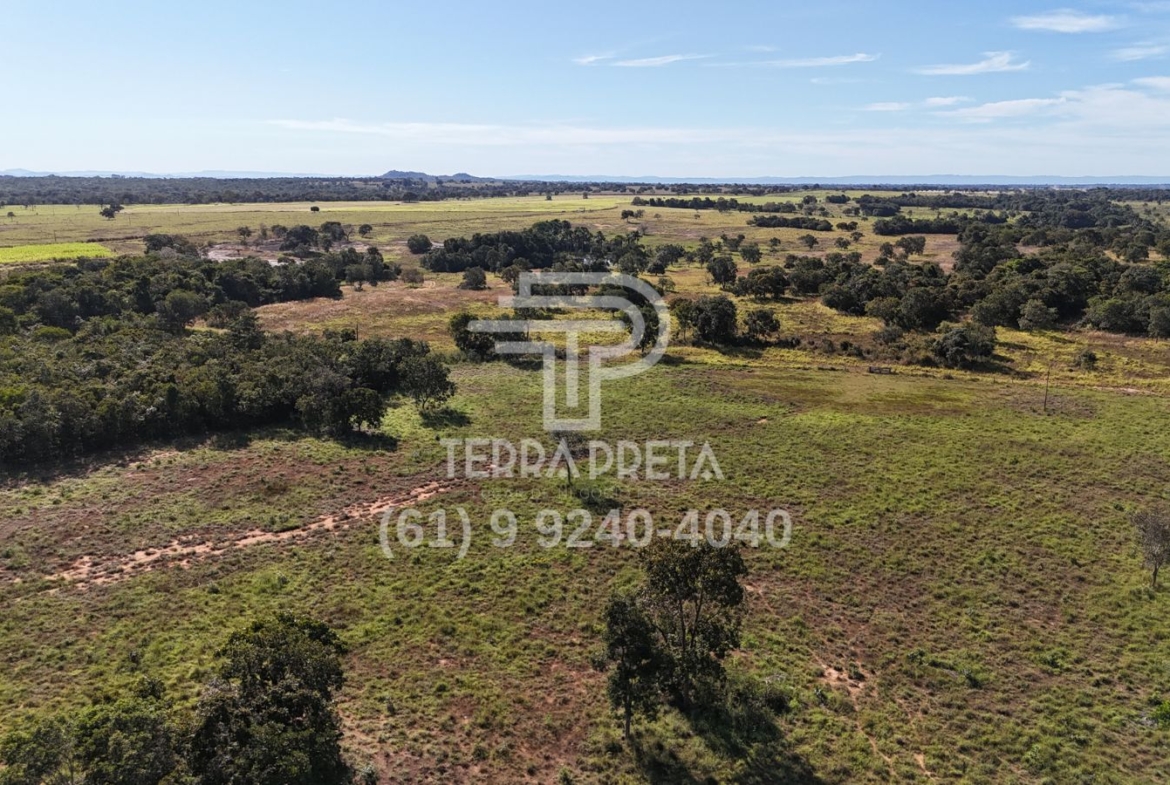 Fazenda de 124 alqueires à venda em Porangatu Go