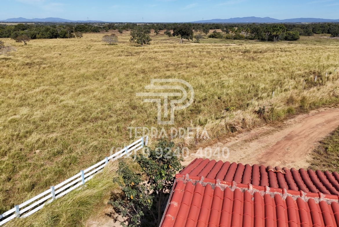 Fazenda de 124 alqueires à venda em Porangatu Go