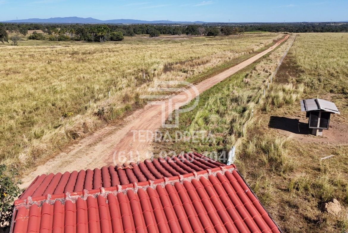 Fazenda de 124 alqueires à venda em Porangatu Go