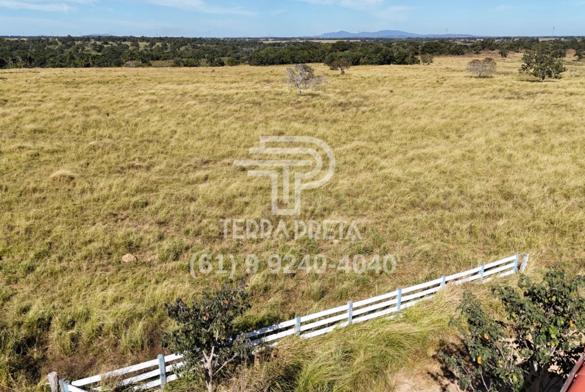 Fazenda de 124 alqueires à venda em Porangatu Go
