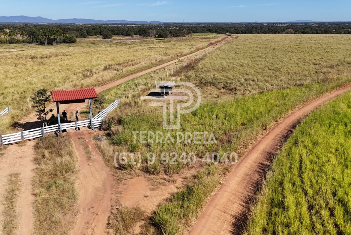 Fazenda de 124 alqueires à venda em Porangatu Go