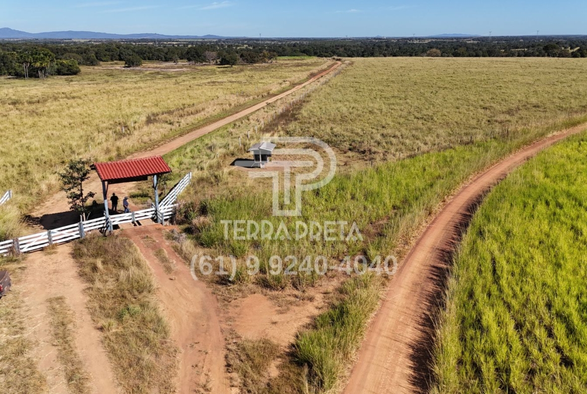 Fazenda de 124 alqueires à venda em Porangatu Go