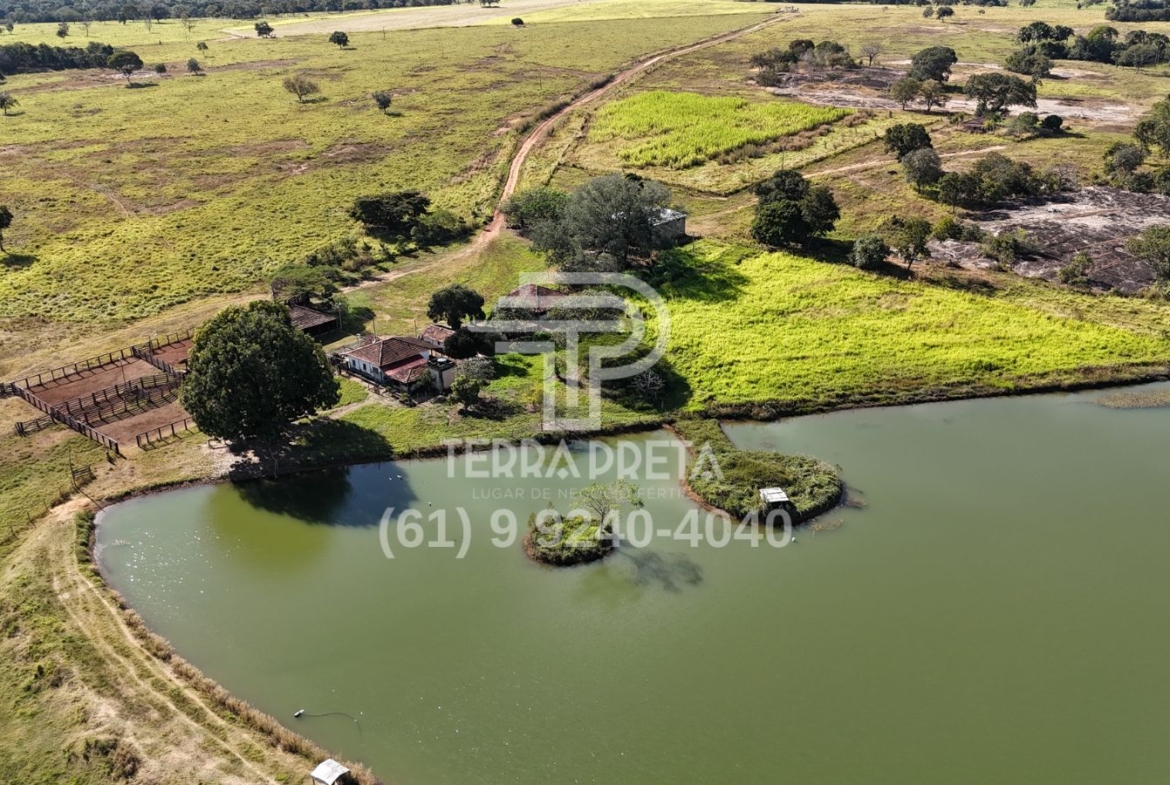 Fazenda de 124 alqueires à venda em Porangatu Go