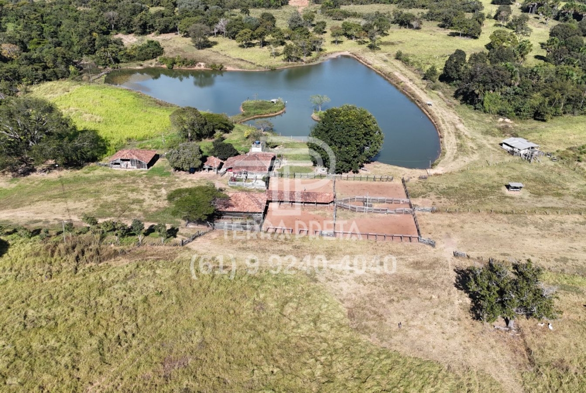 Fazenda de 124 alqueires à venda em Porangatu Go