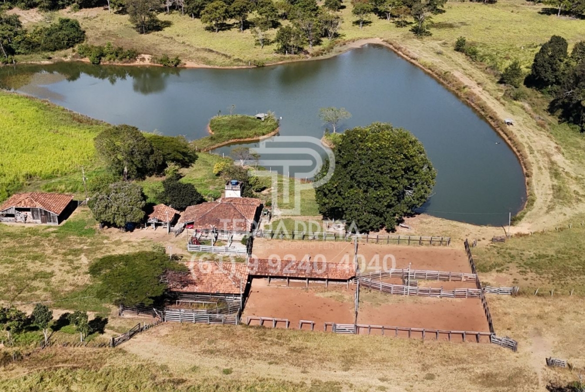 Fazenda de 124 alqueires à venda em Porangatu Go